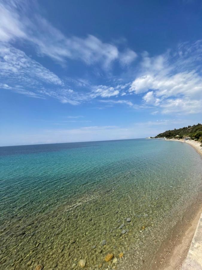 Zoel'S House In Chalkidiki Διαμέρισμα Αγία Παρασκευή Εξωτερικό φωτογραφία