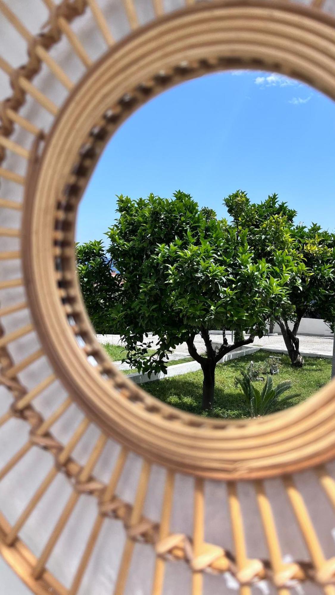 Zoel'S House In Chalkidiki Διαμέρισμα Αγία Παρασκευή Εξωτερικό φωτογραφία