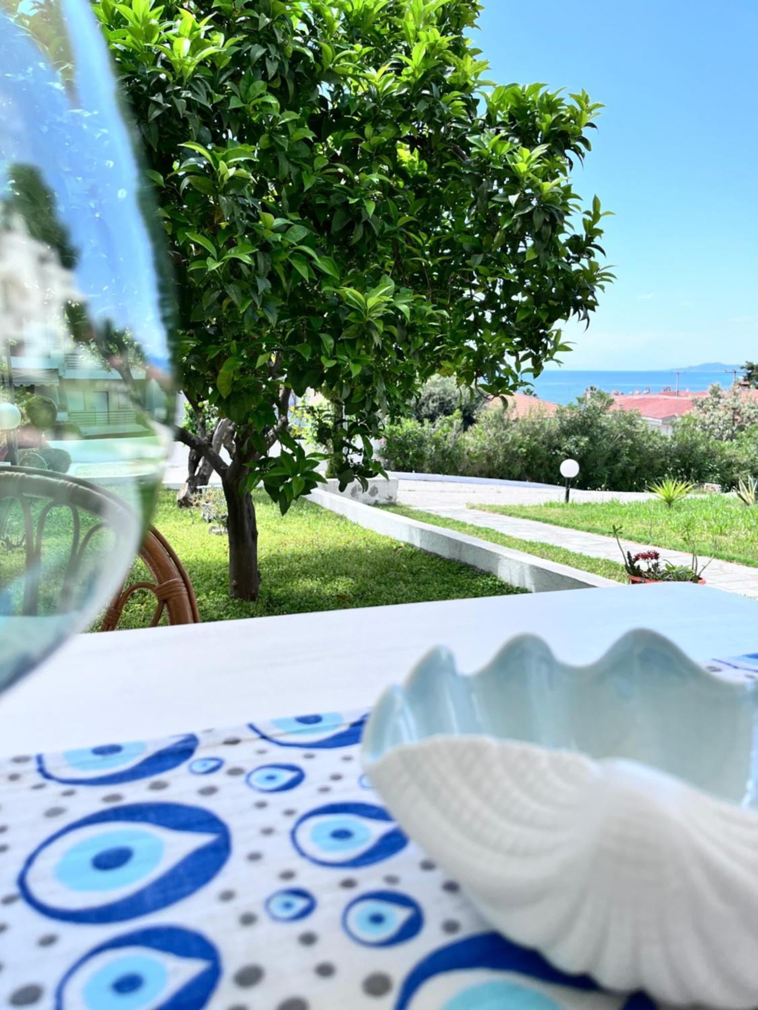 Zoel'S House In Chalkidiki Διαμέρισμα Αγία Παρασκευή Εξωτερικό φωτογραφία